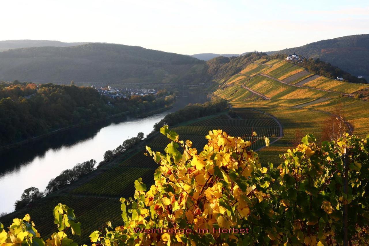 Ferienwohnung Ankerplatz Zell an der Mosel Exterior foto