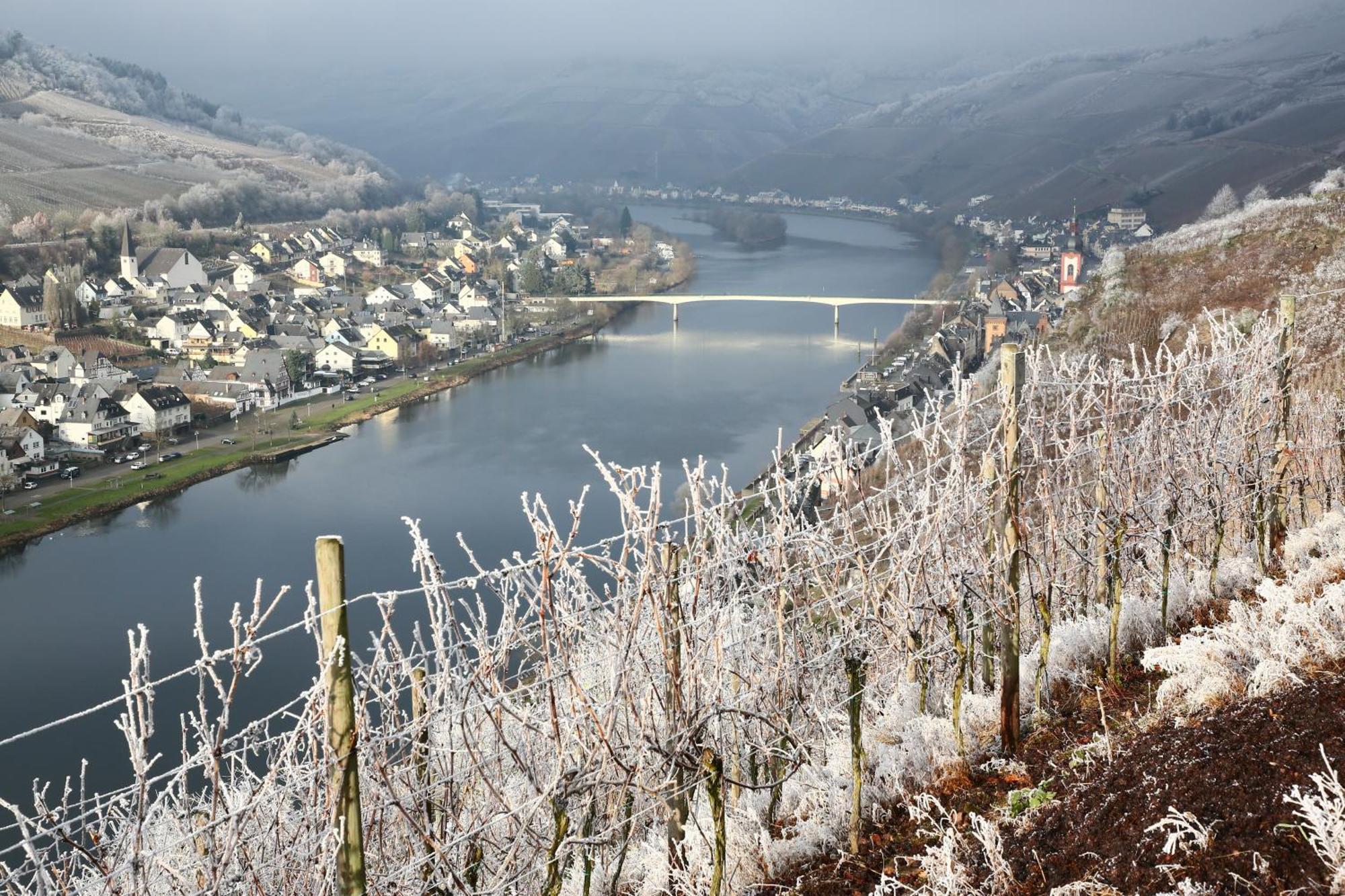 Ferienwohnung Ankerplatz Zell an der Mosel Exterior foto
